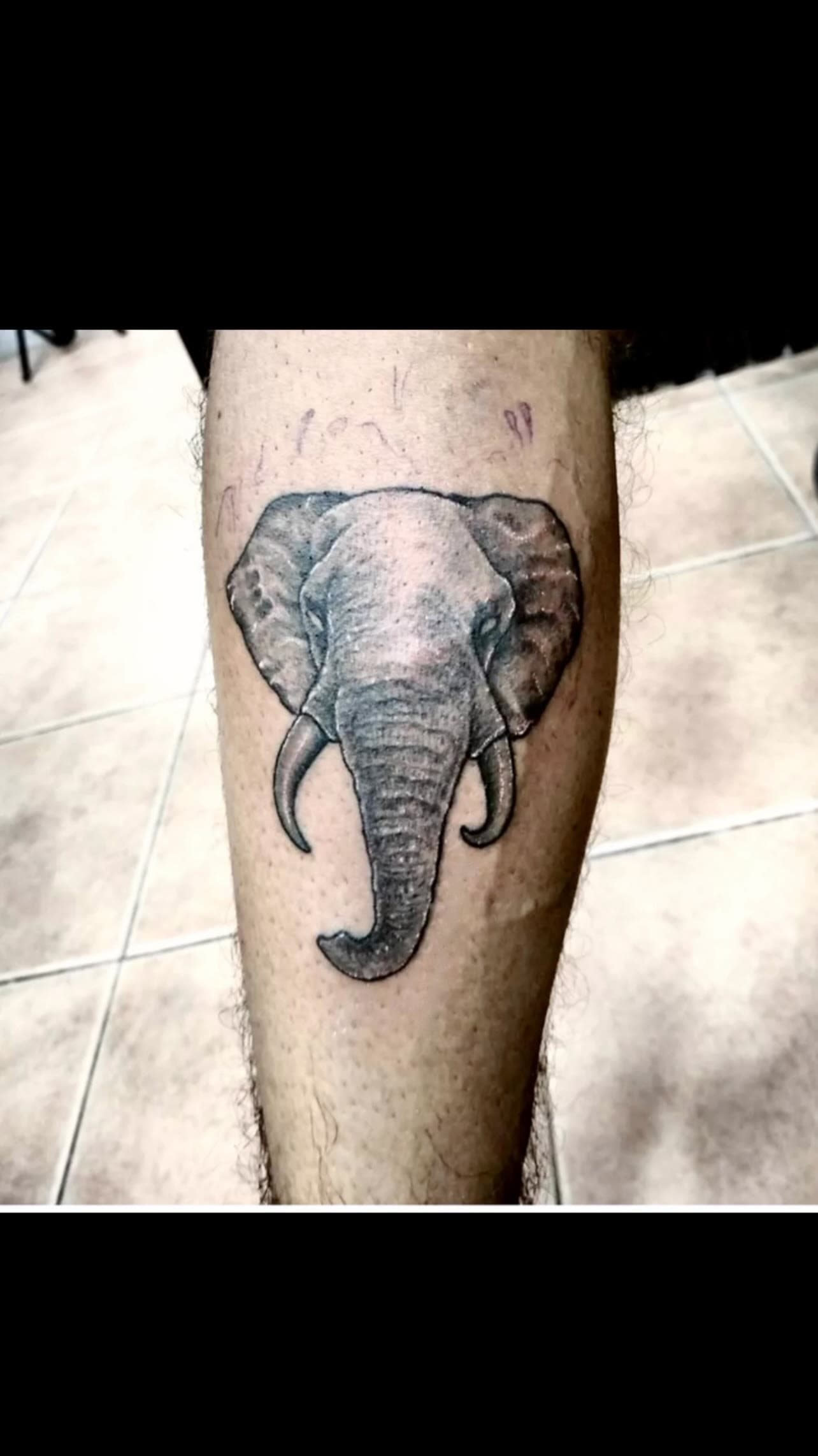 Realistic elephant head tattoo on the calf