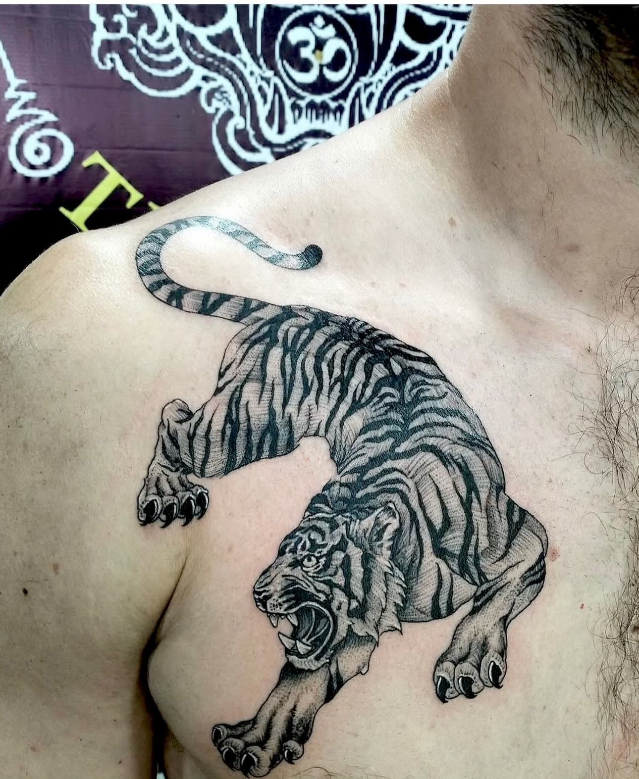 Tiger tattoo on the chest and shoulder